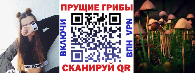 хочу наркоту  Костерёво  Галлюциногенные грибы Psilocybine cubensis 